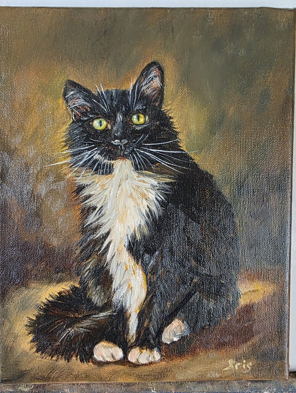 Abstract oil Painting cute Tuxedo cat.